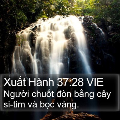 Xuất Hành 37:28 VIE Bible Verse Image