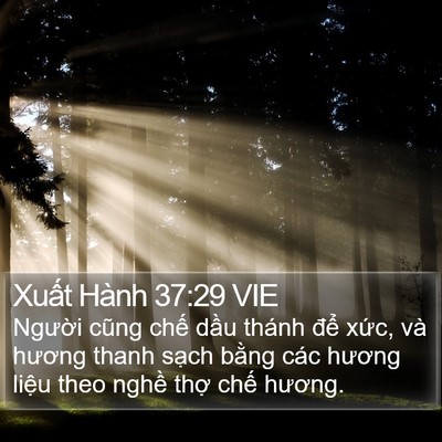 Xuất Hành 37:29 VIE Bible Verse Image