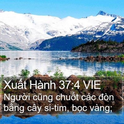 Xuất Hành 37:4 VIE Bible Verse Image