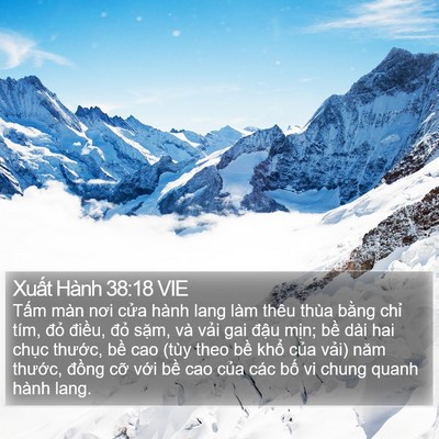 Xuất Hành 38:18 VIE Bible Verse Image