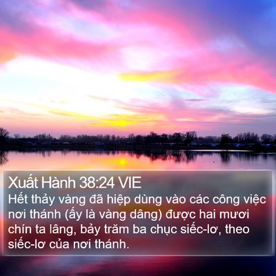 Xuất Hành 38:24 VIE Bible Verse Image