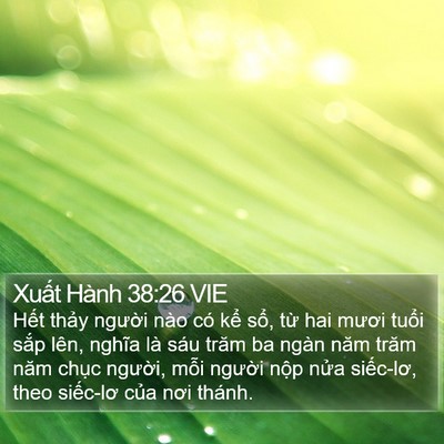 Xuất Hành 38:26 VIE Bible Verse Image