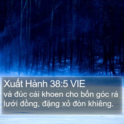 Xuất Hành 38:5 VIE Bible Verse Image