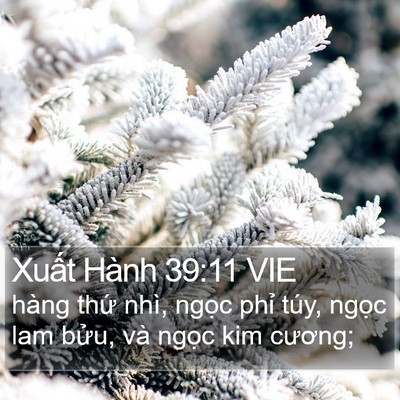 Xuất Hành 39:11 VIE Bible Verse Image