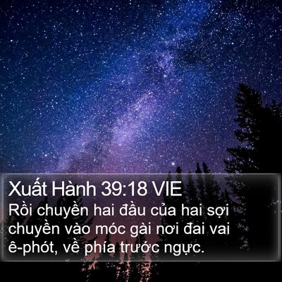Xuất Hành 39:18 VIE Bible Verse Image