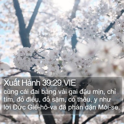 Xuất Hành 39:29 VIE Bible Verse Image