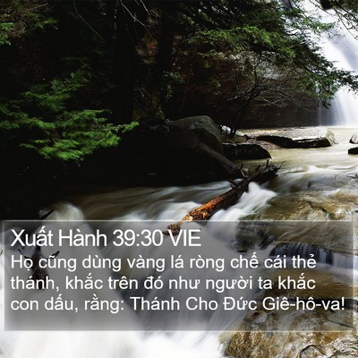 Xuất Hành 39:30 VIE Bible Verse Image