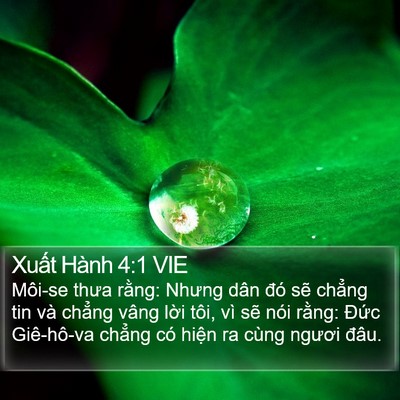 Xuất Hành 4:1 VIE Bible Verse Image