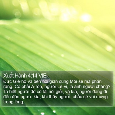Xuất Hành 4:14 VIE Bible Verse Image