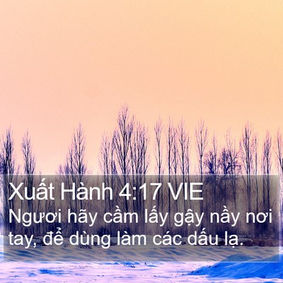 Xuất Hành 4:17 VIE Bible Verse Image