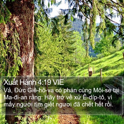 Xuất Hành 4:19 VIE Bible Verse Image
