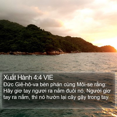 Xuất Hành 4:4 VIE Bible Verse Image