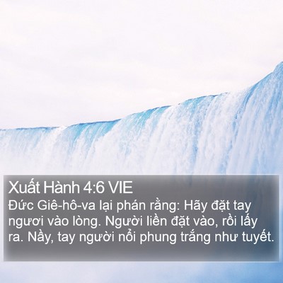 Xuất Hành 4:6 VIE Bible Verse Image