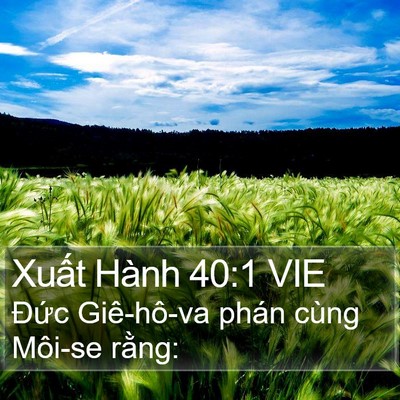 Xuất Hành 40:1 VIE Bible Verse Image
