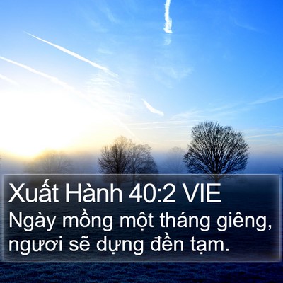 Xuất Hành 40:2 VIE Bible Verse Image