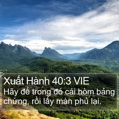 Xuất Hành 40:3 VIE Bible Verse Image