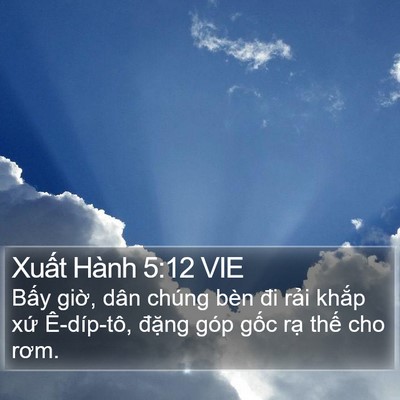 Xuất Hành 5:12 VIE Bible Verse Image