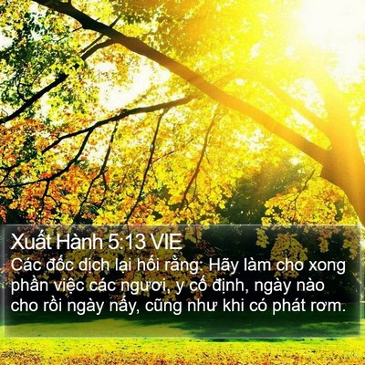 Xuất Hành 5:13 VIE Bible Verse Image