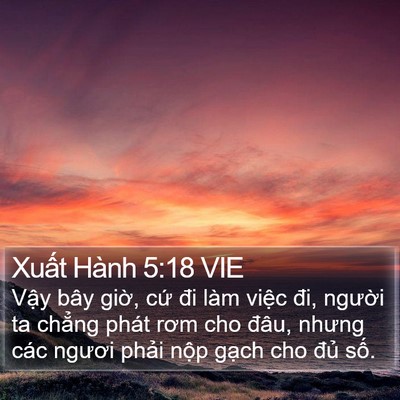 Xuất Hành 5:18 VIE Bible Verse Image