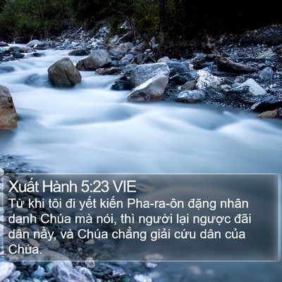 Xuất Hành 5:23 VIE Bible Verse Image