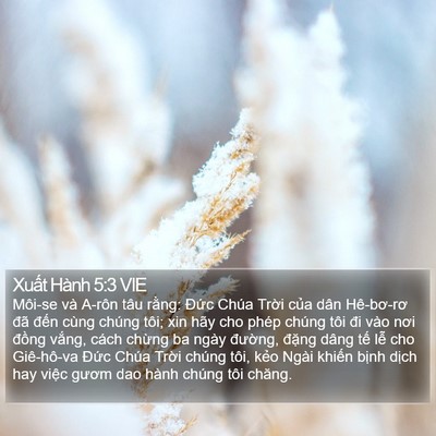 Xuất Hành 5:3 VIE Bible Verse Image