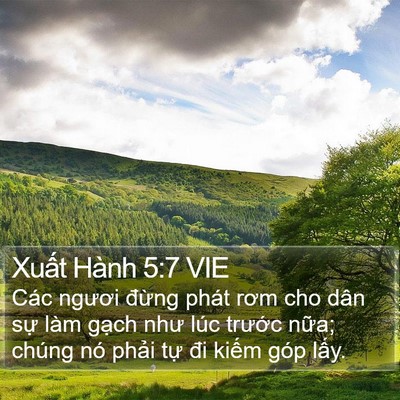Xuất Hành 5:7 VIE Bible Verse Image