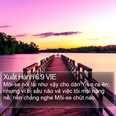 Xuất Hành 6:9 VIE Bible Verse Image