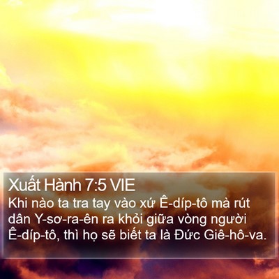 Xuất Hành 7:5 VIE Bible Verse Image