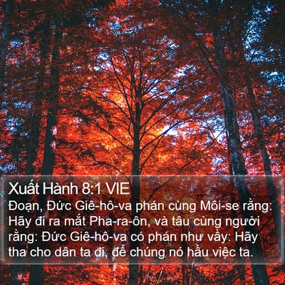 Xuất Hành 8:1 VIE Bible Verse Image