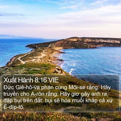 Xuất Hành 8:16 VIE Bible Verse Image