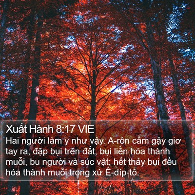 Xuất Hành 8:17 VIE Bible Verse Image