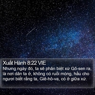 Xuất Hành 8:22 VIE Bible Verse Image