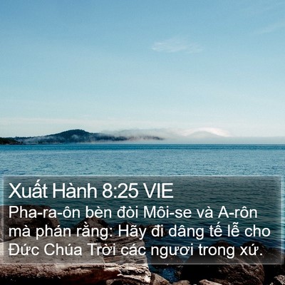 Xuất Hành 8:25 VIE Bible Verse Image