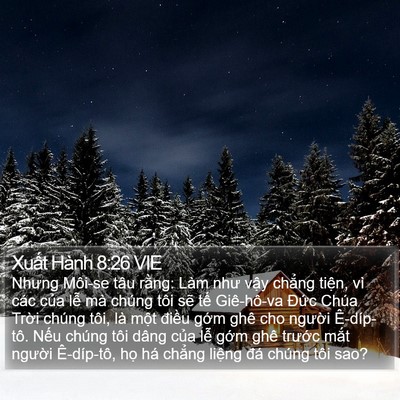 Xuất Hành 8:26 VIE Bible Verse Image