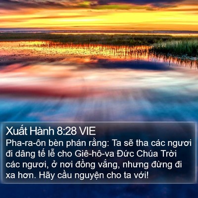 Xuất Hành 8:28 VIE Bible Verse Image