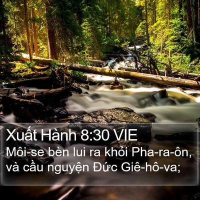 Xuất Hành 8:30 VIE Bible Verse Image