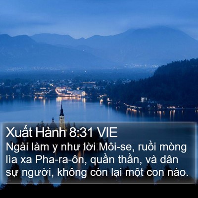Xuất Hành 8:31 VIE Bible Verse Image