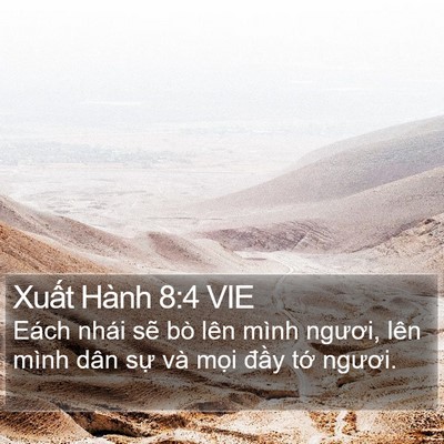 Xuất Hành 8:4 VIE Bible Verse Image
