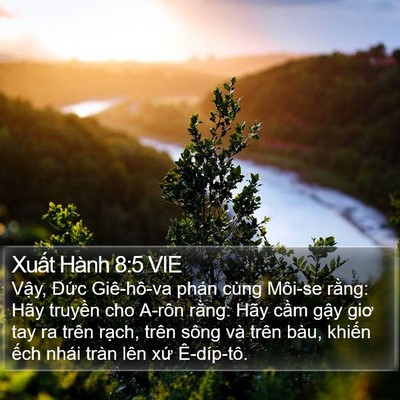 Xuất Hành 8:5 VIE Bible Verse Image