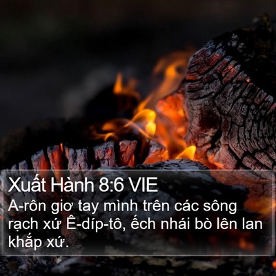 Xuất Hành 8:6 VIE Bible Verse Image