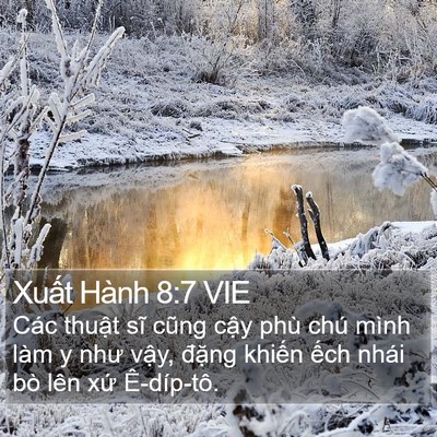 Xuất Hành 8:7 VIE Bible Verse Image