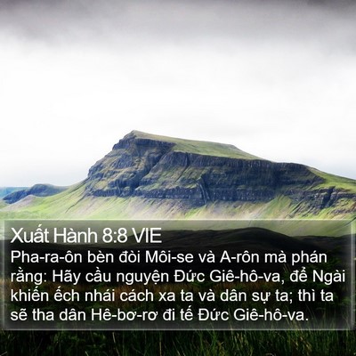Xuất Hành 8:8 VIE Bible Verse Image