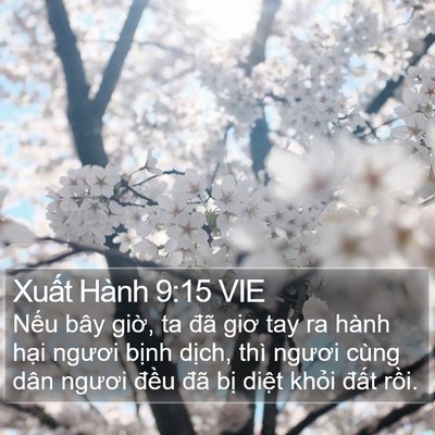 Xuất Hành 9:15 VIE Bible Verse Image