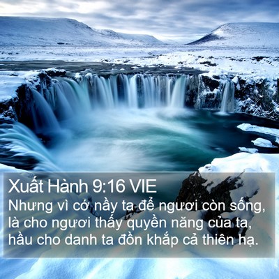Xuất Hành 9:16 VIE Bible Verse Image