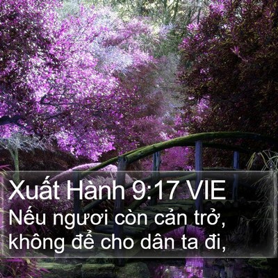 Xuất Hành 9:17 VIE Bible Verse Image