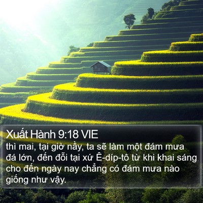 Xuất Hành 9:18 VIE Bible Verse Image