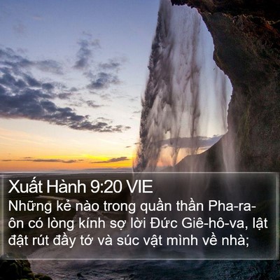 Xuất Hành 9:20 VIE Bible Verse Image