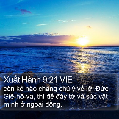 Xuất Hành 9:21 VIE Bible Verse Image