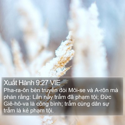 Xuất Hành 9:27 VIE Bible Verse Image