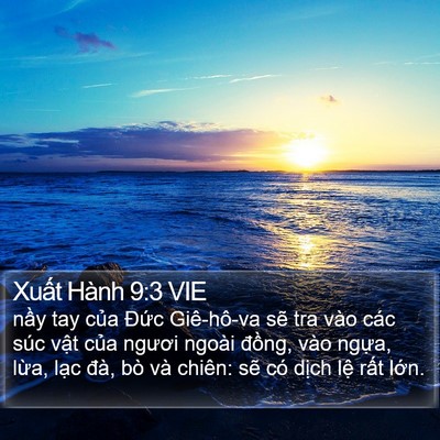 Xuất Hành 9:3 VIE Bible Verse Image